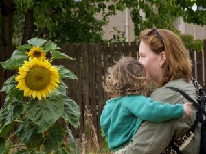 The Forest Community Garden, Tranent. Photo / East Lothian Climate Hub