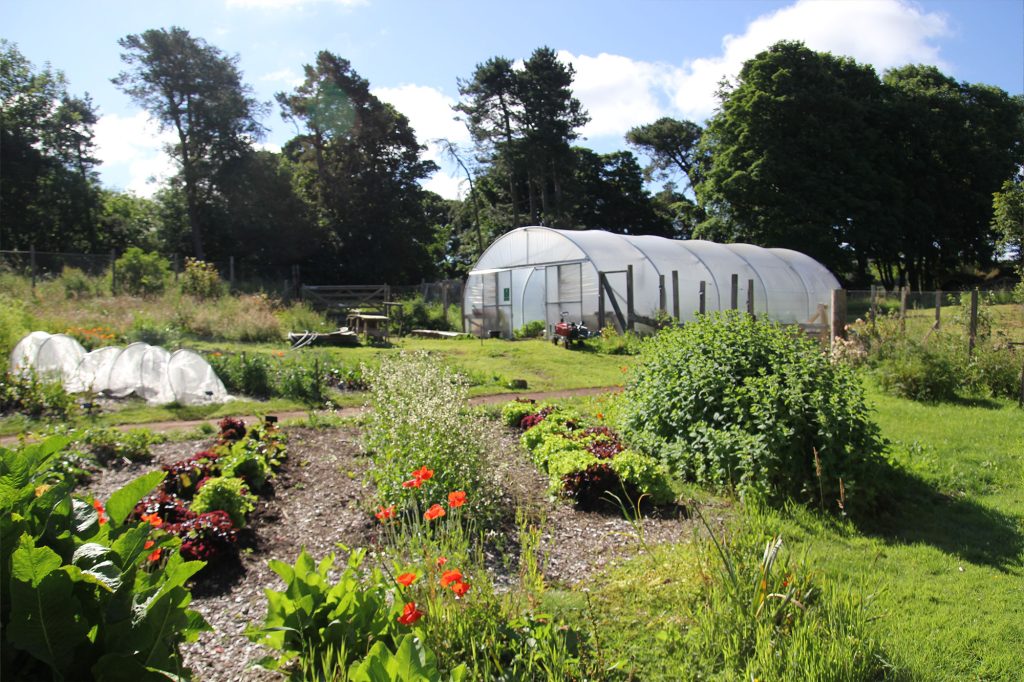 Fairhill Rise is a land-based day support service for adults with additional needs, near Haddington.