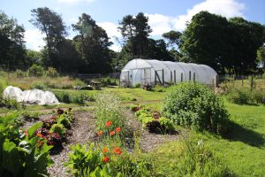 Fairhill Rise is a land-based day support service for adults with additional needs, near Haddington.