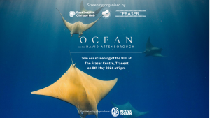 Ocean with David Attenborough: Free Screening in Tranent's Fraser Centre