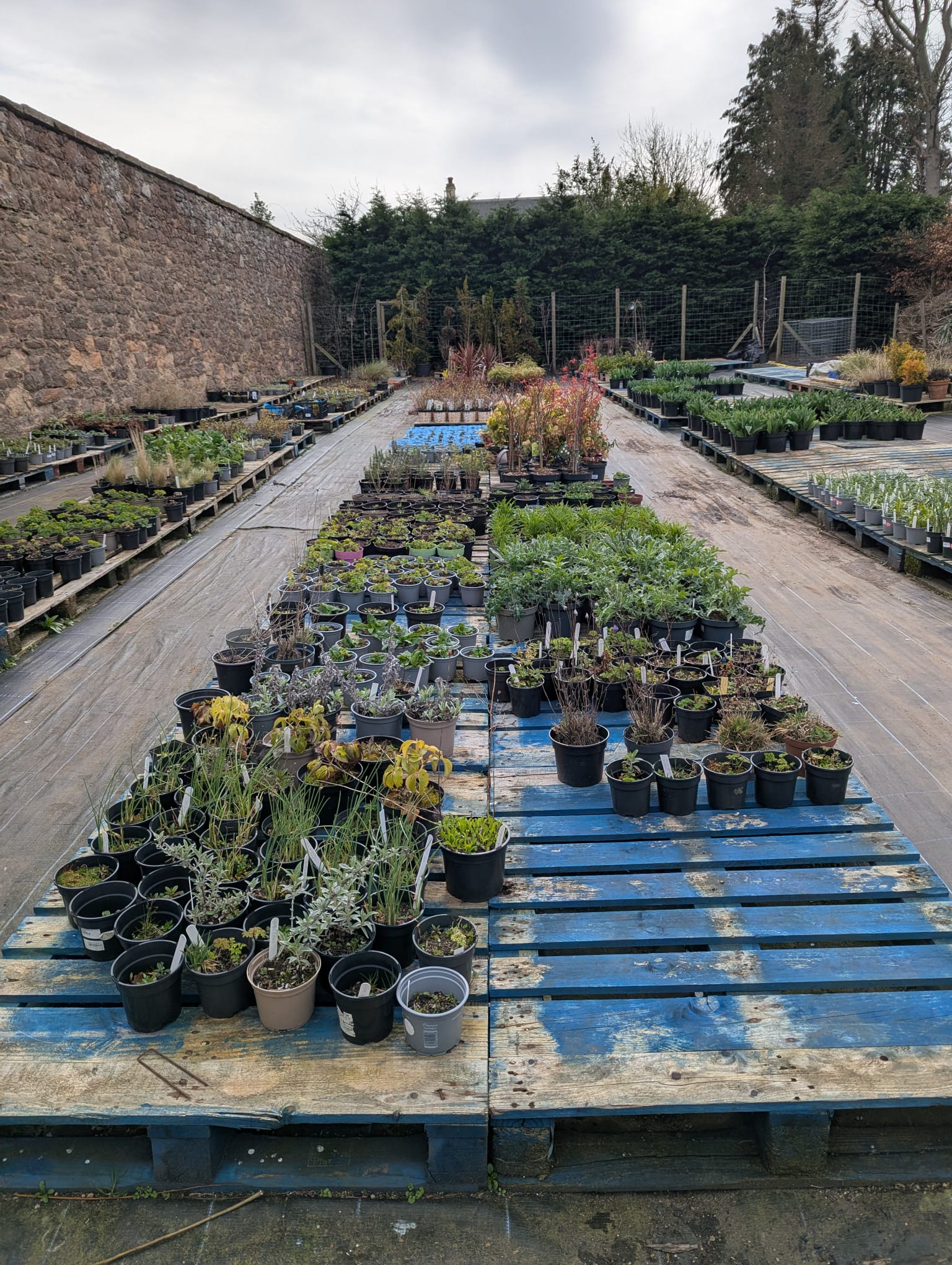 The Food Growers Collective met for a tour of the Walled Garden, led by Head Gardener Kerry Lyall. Photo / ELCAN