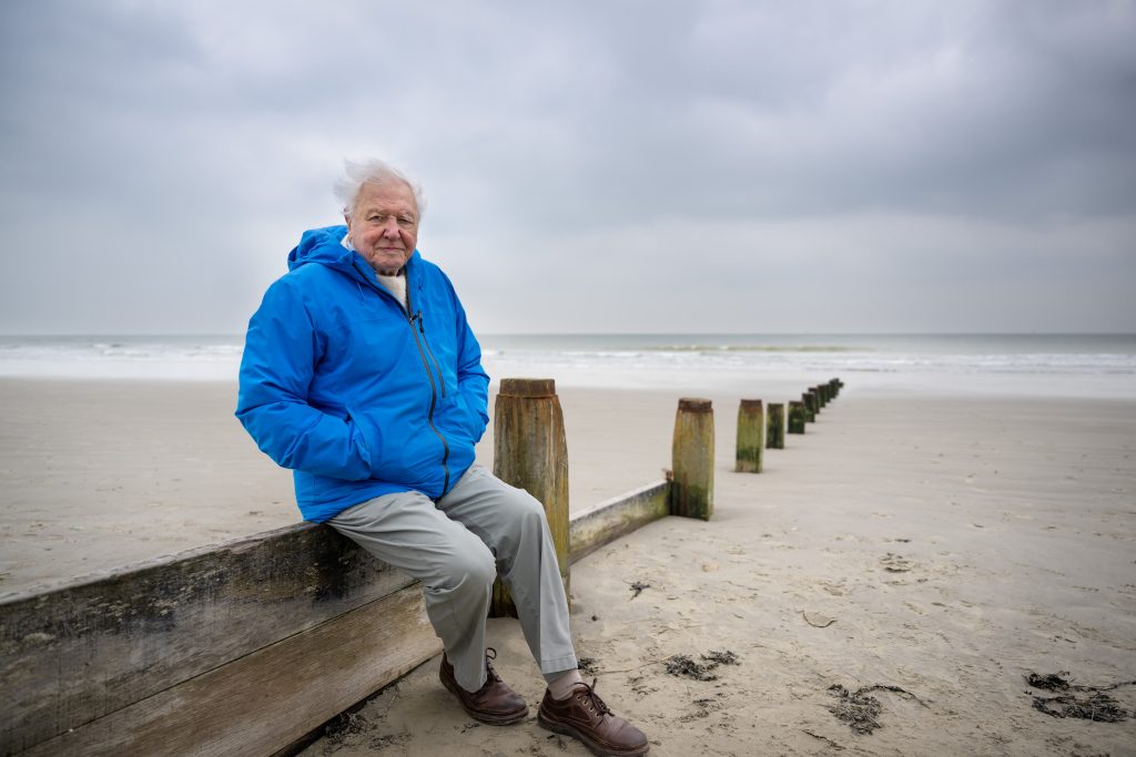 Ocean with David Attenborough. Handout. Photo: Conor McDonnell / Silverback Films and Open Planet Studios, Revive Our Ocean