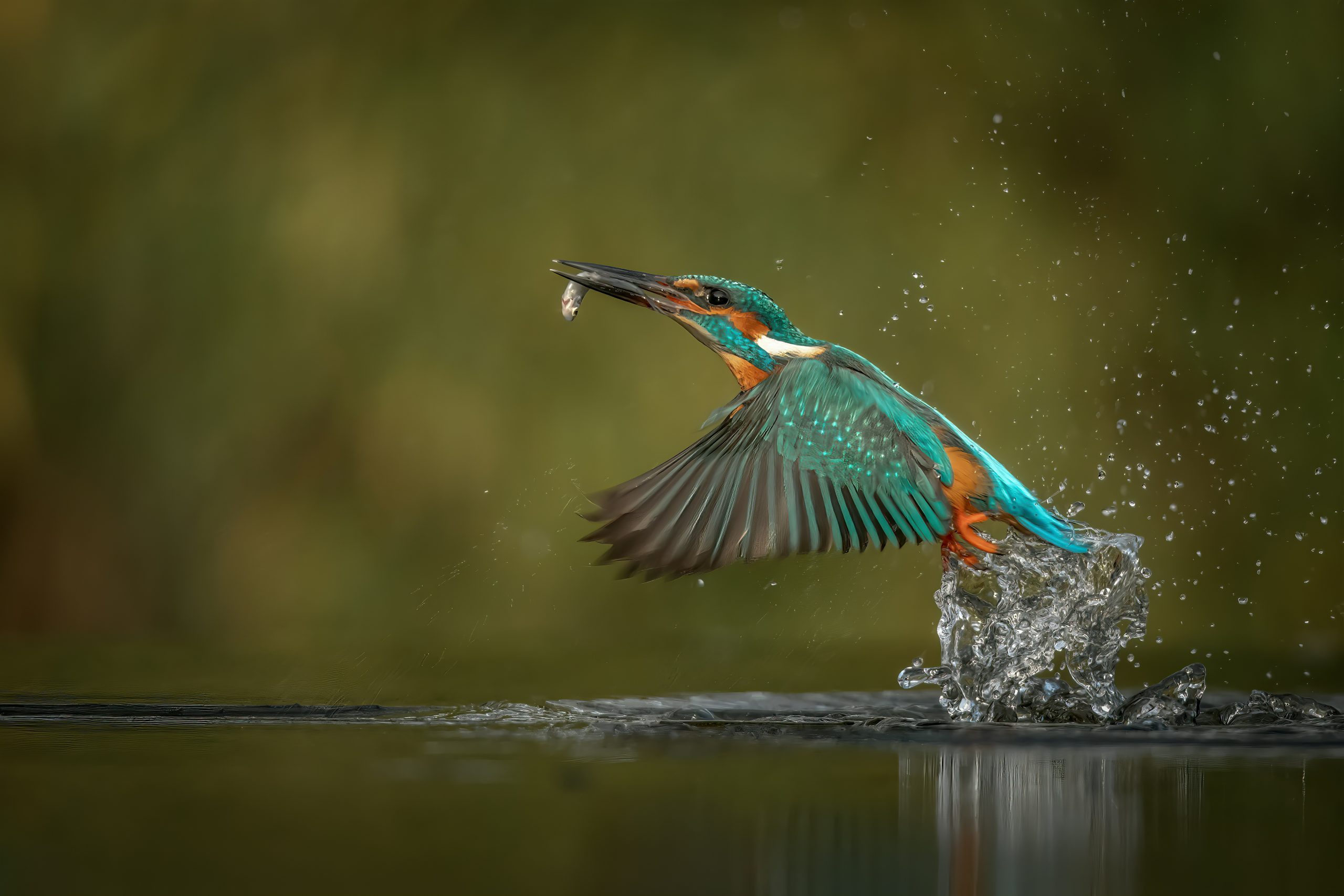 East Lothian River Connections brings together projects protecting our waterways. Photo: Vincent van Zalinge, Unsplash
