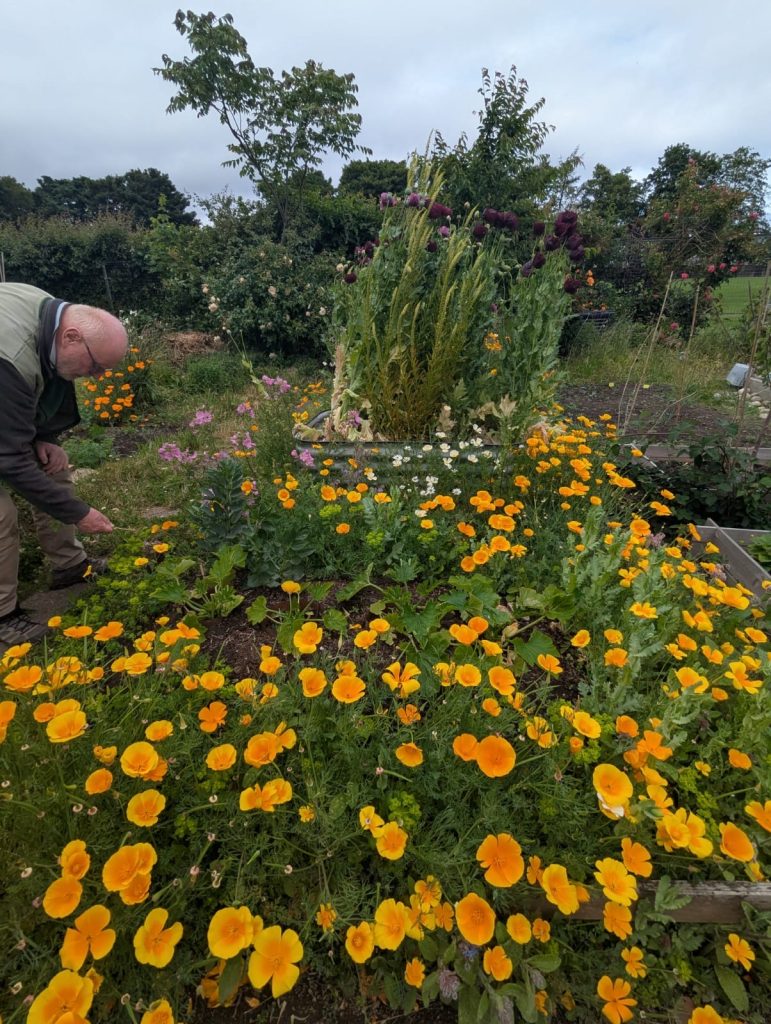 Dr Stan da Prato with the East Lothian Food Growers Collective at Muirpark allotments. Photo / ELCAN