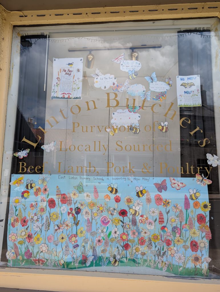 East Linton getting behind the Now Mow May Gardens. Photo / Sarah Shuttleworth, Plantlife.org.uk