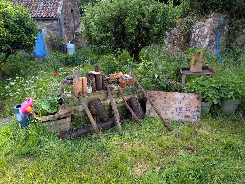 Conservation via competition: Now Mow May judges rewarded biodiversity and creative flare. Photo / Sarah Shuttleworth, Plantlife.org.uk