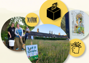 Community Climate and Nature action: What has ELCAN been up to?